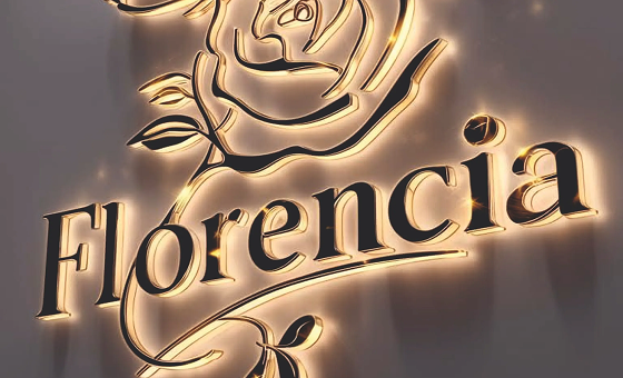 SS Back Glow Letter signage installation showcasing SignJunction's professional work