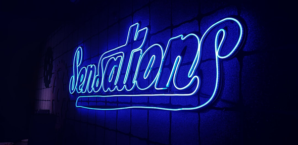 Royal Palace Restaurant signage project showcasing hospitality solutions